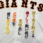 【メール便送料無料】読売 ジャイアンツ 