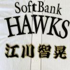 【メール便送料無料】福岡 ソフトバンク 