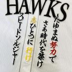【メール便送料無料】福岡 ソフトバンク 
