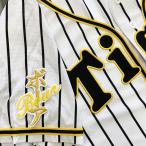 【メール便送料無料】阪神 タイガース 刺