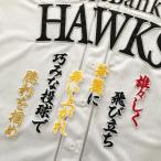 【メール便送料無料】福岡 ソフトバンク 