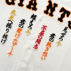 【メール便送料無料】読売 ジャイアンツ 