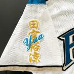 【納期注意【日本ハムファイターズ 刺繍ワ
