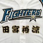 納期注意【日本ハムファイターズ 刺繍ワッ