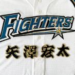 納期注意【日本ハムファイターズ 刺繍ワッ