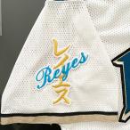 【納期注意【日本ハムファイターズ 刺繍ワ