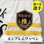 納期注意【ソフトバンク ホークス 刺繍ワ