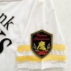 【ソフトバンクホークス 刺繍ワッペン 2