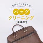 【新規LINE登録で12%OFFクーポンGET!】革のクリーニング バッグ・鞄コース 送料無料