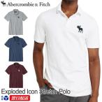 アバクロンビー＆フィッチ 正規品 Abercrombie＆Fitch 2020SS メンズ カノコ ビックロゴ ポロシャツ Exploded Icon Stretch Polo ホワイト グレー他