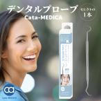 歯石取り デンタルプローブ 歯石とり ピック 器具 ツール ステンレス 歯石 取り 器具 歯垢 歯石 の除去に ヤニとり 一般医療機器 送料無料 1000円ポッキリ