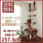 キャットタワー QQ80786 猫用 猫タワー 突っ張り型 爪とぎ おしゃれ 多頭飼い 麻ひも もこもこ