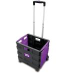 キャリーバッグ キャリーボックス キャリーケース 折りたたみ式らくらくキャリーボックス小 KA-00282