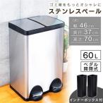 ゴミ箱 分別 キッチン 大容量 ステンレス 60L おしゃれ ごみ箱 ダストボックス
