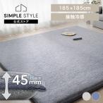 ラグ 夏用 2畳 接触冷感 ひんやり 冷感ラグ 極厚 5cm 厚手 高反発 弾力性 防音 カーペット ラグマット 185×185 アイリスオーヤマ ACRGR-1818 *