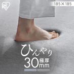 ラグ 2畳 夏用 ひんやり 接触冷感 おしゃれ 厚手 アイリスオーヤマ 撥水加工 すべり止め 185×185 ACR1C-1818