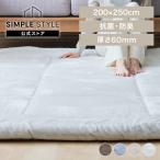 ショッピングカーペット カーペット じゅうたん 極厚仕立て 超極厚ラグ 200×250  (D)