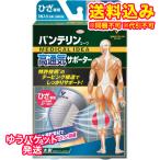 ゆうパケット)興和 バンテリンコーワ 高通気サポーター ひざ専用 シルバーグレー Lサイズ 大きめ 1枚