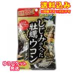 【ゆうパケット送料込み】しじみカキウコン+オルニチン徳用 264粒