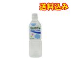 ビーンスターク　ポカリスエット　500ml×24個