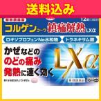【第1類医薬品】コルゲンコーワ 鎮痛解熱 LXα 12錠【セルフメディケーション税制対象】