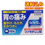 yu. packet )[ no. 1 kind pharmaceutical preparation ]famochi Gin pills [knihiro] 12 pills [ self metike-shon tax system object ]