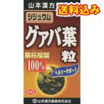 山本漢方　シジュウムグァバ葉粒100