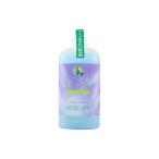 緑の魔女 トイレ用洗剤 ミントの香り 420ml×24個※取り寄せ商品 返品不可