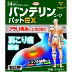 その他肩こり、腰痛、筋肉痛薬