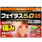 【第2類医薬品】フェイタス5.0 温感 大判 20枚【セルフメディケーション税制対象】