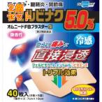 その他肩こり、腰痛、筋肉痛薬