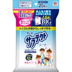 【防除用医薬部外品】サラテクト　虫よけシート　20枚入