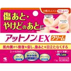 【第2類医薬品】アットノンC ＥＸ　クリーム　15g