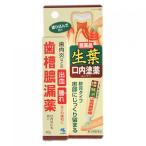 【第3類医薬品】小林製薬　生葉口内塗薬　20g