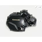  Kawasaki оригинальный Z900RS ZR900 генератор покрытие OEM детали 2018-20 новый товар 
