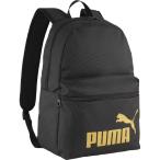 PUMA Puma PUMA PHASE рюкзак мульти- Sportback упаковка 091164-03 рюкзак сумка 