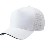 ZETT( Z ) american задний сетка Baseball колпак бейсбол * софтбол шляпа BH167-1100