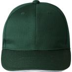  Descente DESCENTE american колпак бейсбол софтбол шляпа соревнование для DB5SCP01M-GR00