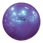 nisi спорт NISHI non Burst V мяч L металлик лиловый NT5874C-960
