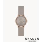 スカーゲン SKAGEN 腕時計 SIGNATUR LILLE 二針 グレーストーン エコレザーウォッチ SKW3060 レディース 北欧 正規品