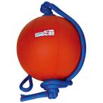 nisi спорт NISHI swing metisin мяч 2kg T5912-960