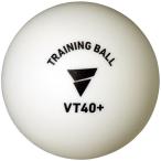 VICTAS ヴィクタス VT40+ トレーニングボール 100球入 卓球 競技ボール 015700
