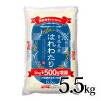 ショッピング販売 2月25日 12時まで販売 はれわたり 増量キャンペーン 5.5kg 令和7年度産 青森県産