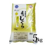 まっしぐら 無洗米 5kg 令和6年度産 青森県産