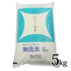 青天の霹靂 無洗米 5kg 令和5年度産 青森県産