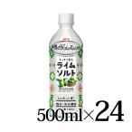  жираф мир. Kitchen из lime соль 500ml 24шт.@PET KIRIN
