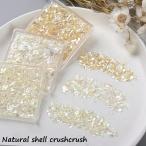 ラローナ [ LALONA  ] たっぷり入った�