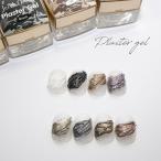 ラローナ [ LALONA ]プラスタージェル 