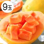  красный папайя 9 шар 