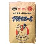 �����`���� ���{�p�v���`�i�G�[�X 15kg ���p�t�[�h �{�̉a